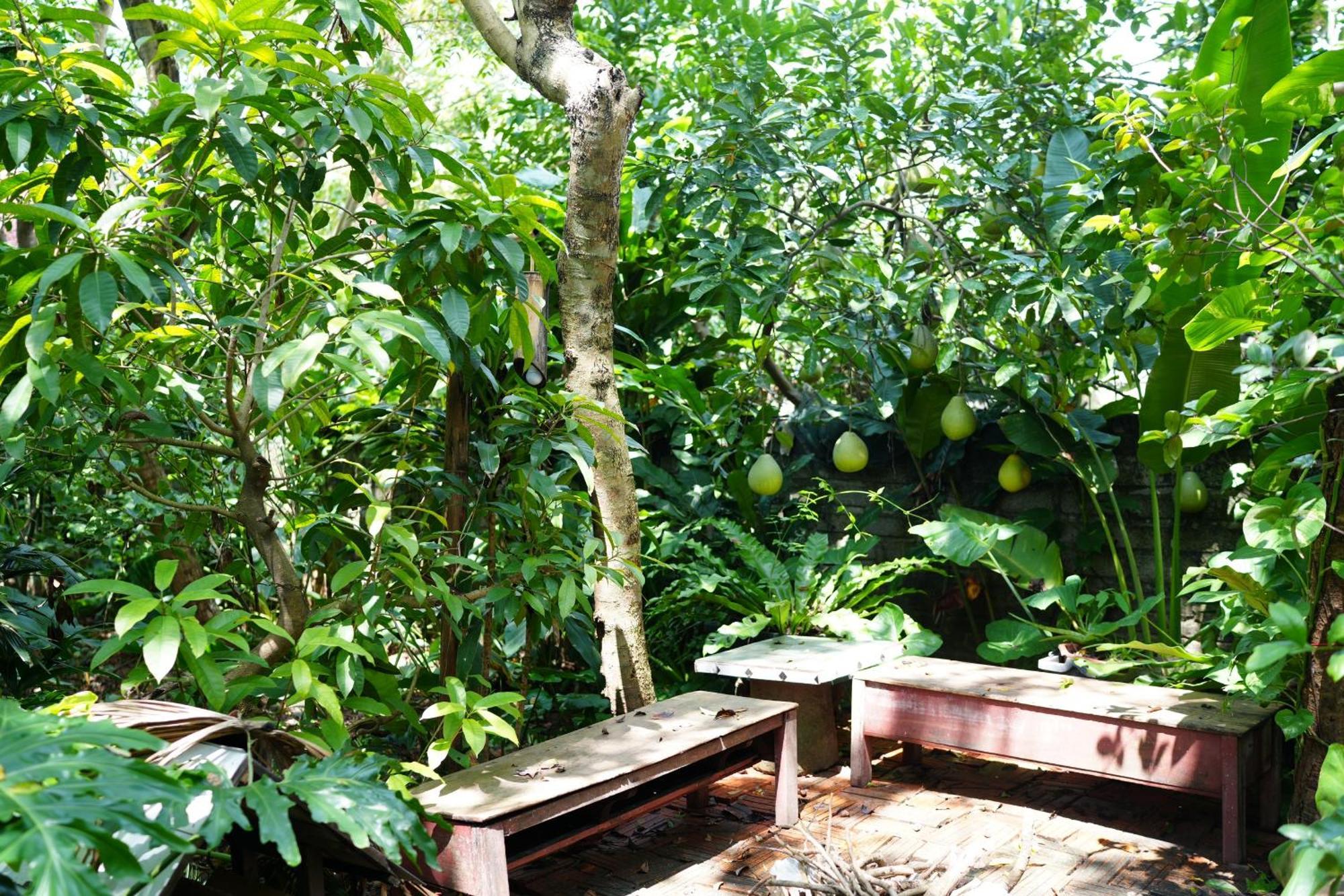 Nha Lua Homestay Ninh Binh Bagian luar foto