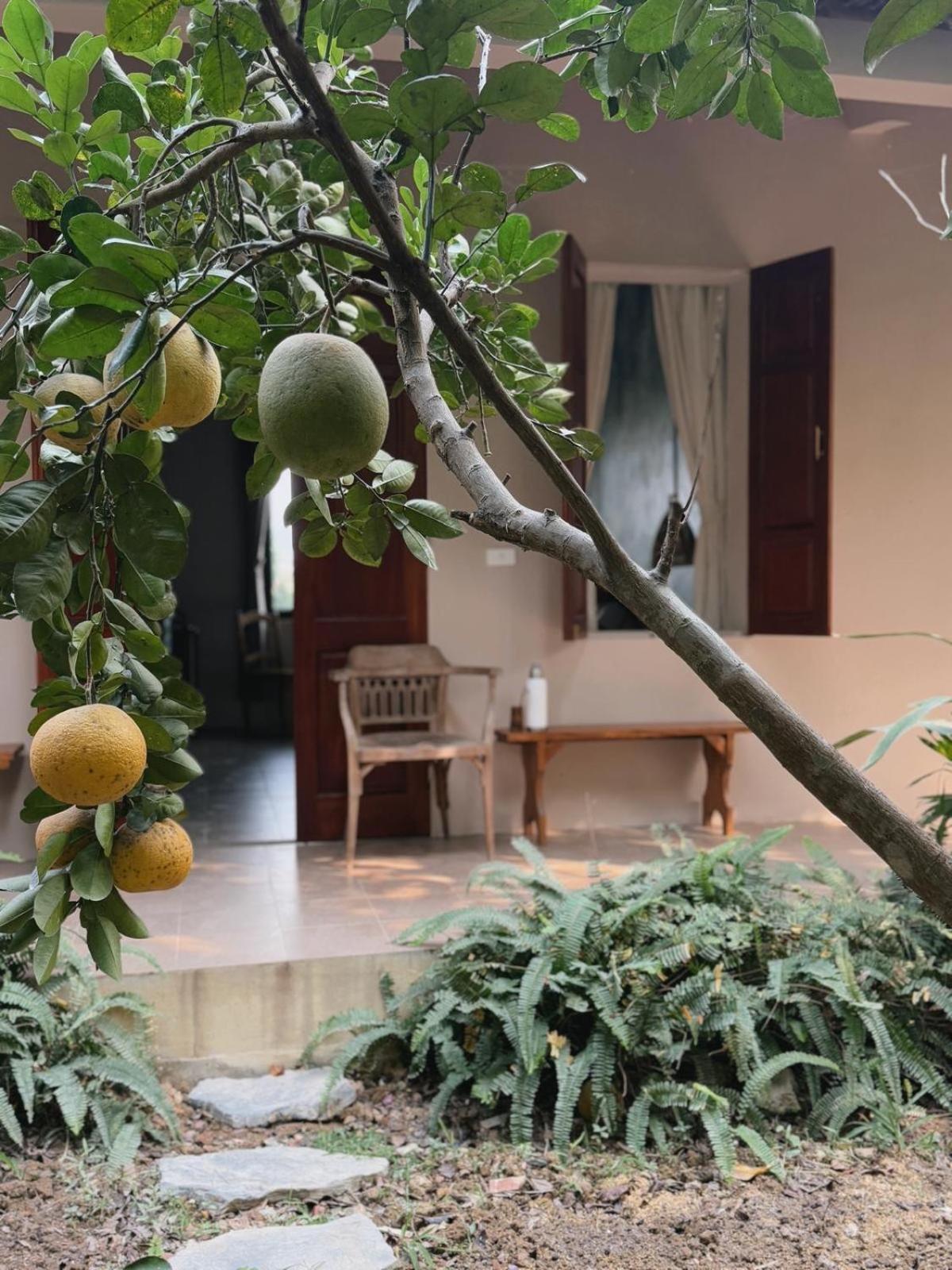 Nha Lua Homestay Ninh Binh Bagian luar foto